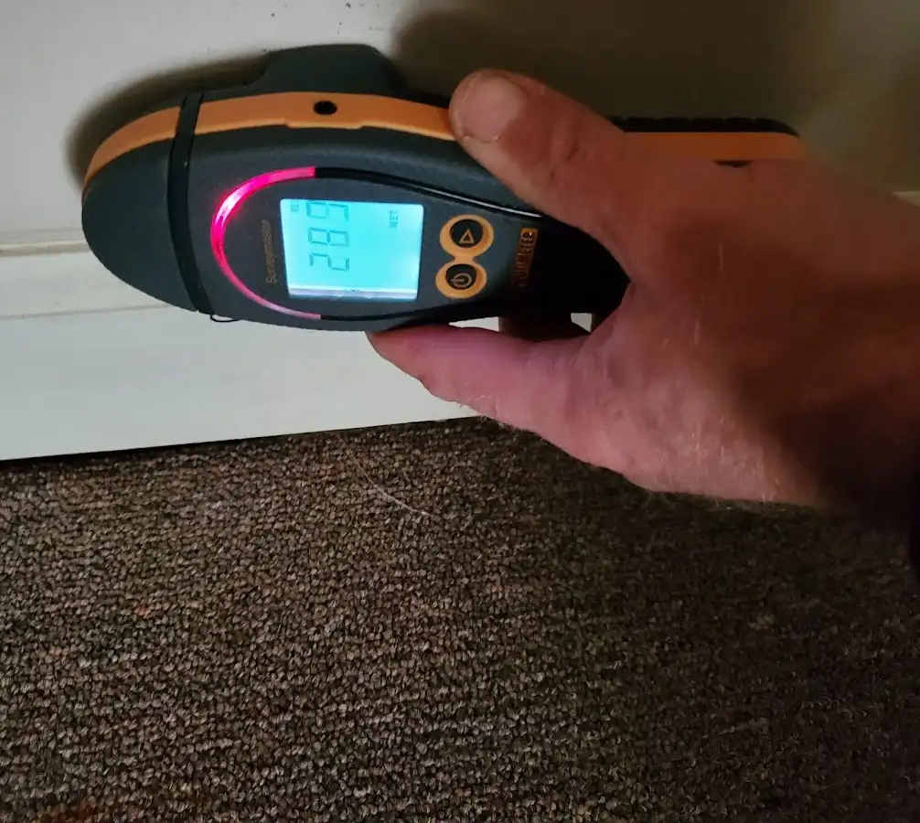 Moisture detection at baseboard during Burst Pipe Cleanup in Springfield